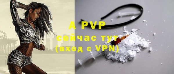 гашик Вязьма