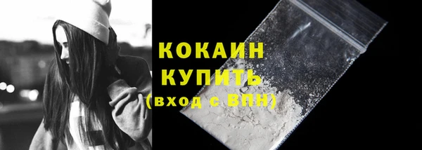 гашик Вязьма