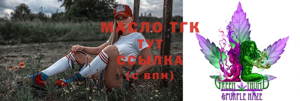 гашик Вязьма