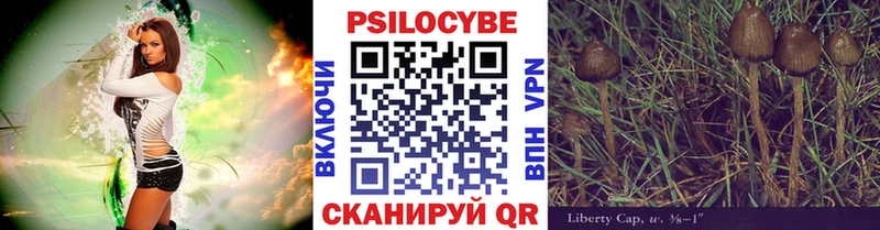 Галлюциногенные грибы мицелий  Новоржев 